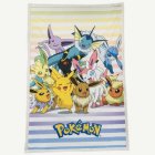 Pokémon® Filt