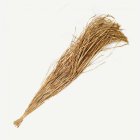 Raffia Knippe Natur