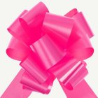 Rosetter Fuchsia