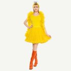 Sesame Street® Big Bird Tutu Maskeraddräkt