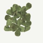 Velour Blomblad Grön/Guld