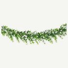Eukalyptus Girlang Grön