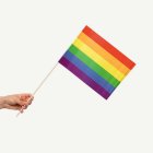 Regnbåge Flagga På Pinne