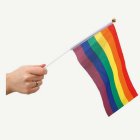 Pride Flagga På Pinne