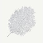 Blad Bordstablett Silver
