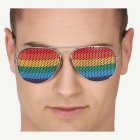 Pride Aviator Glasögon Regnbåge