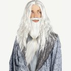 Harry Potter® Dumbledore Peruk & Skägg