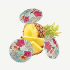 Hawaiiblomma Cocktailparaply