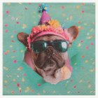 Party Dogs Servetter