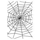 Spindelväv