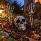 Dödskalle & Skeletthänder