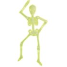 Glow In The Dark Skelett