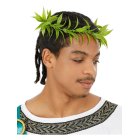 Olympisk Lagerkrans