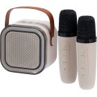 Bluetooth Karaokehögtalare Med Mikrofoner
