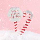 Santa Please Stop Here trädgårdsskyltar