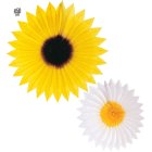 Papperssolfjäder med Solros Eller Tusensköna