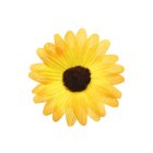 Gul konstgjord dekorationsblomma