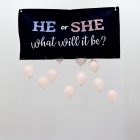 Gender Reveal Ballongset