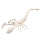 Skorpionskelett
