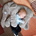 Elefant Kudde