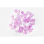 Rosenblad Violett