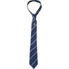 Harry Potter® Ravenclaw Slips & Emblem