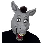 Rolig Åsnemask