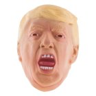 Donald Trump Mask