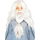 Harry Potter® Dumbledore Peruk & Skägg Barn