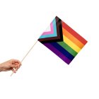Progress Pride Flagga På Pinne