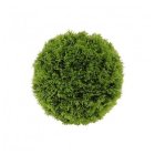 Konstgjord Cypress Dekorationsboll Grön