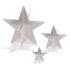 3D Silverstjärser Borddekorationer