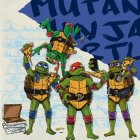 Teenage Mutant Ninja Turtles® Servetter