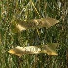 Papp Pil Metallic Guld