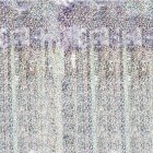 Glittergardin Holografisk