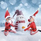 Tomtenisse Elf On The Shelf