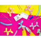 Modellerings Ballongkit Pastel