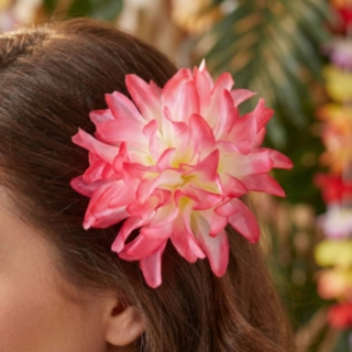 Hawaiiblomma Hårspänne