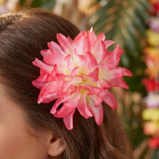 Hawaiiblomma Hårspänne