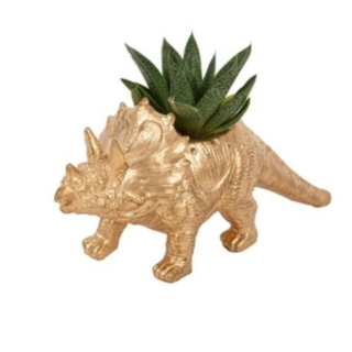 Triceratops Dinosaurie Blomvas