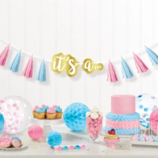 Gender Reveal DIY Girlang