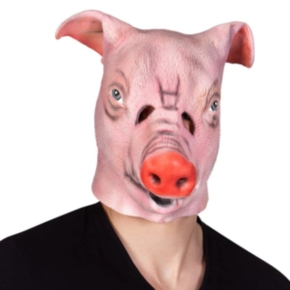 Gris Latexmask