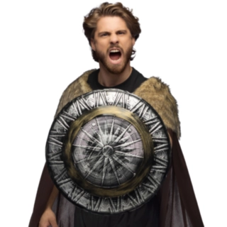 Vikingasköld Silver/Guld
