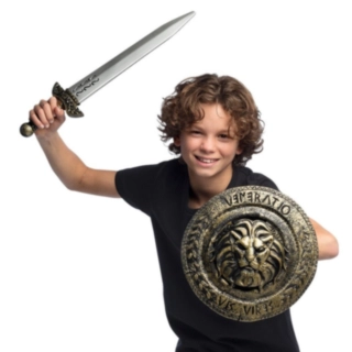Lejon Riddare Sköld & Svärd Barnset