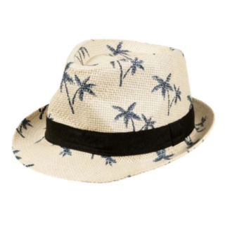 Palmhatt