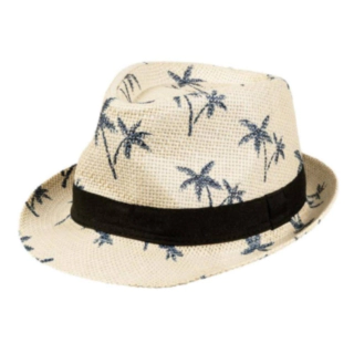 Palmhatt