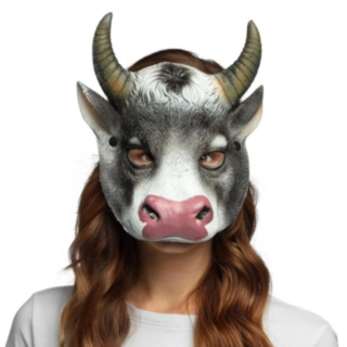 Ko Halvmask