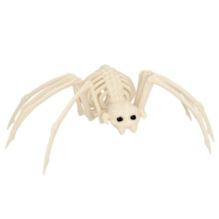 Spindelskelett