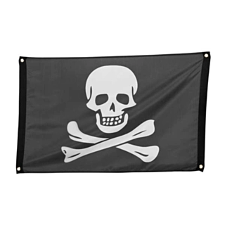 Pirat Banner