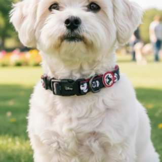 Mickey Mouse® Hundhalsband
